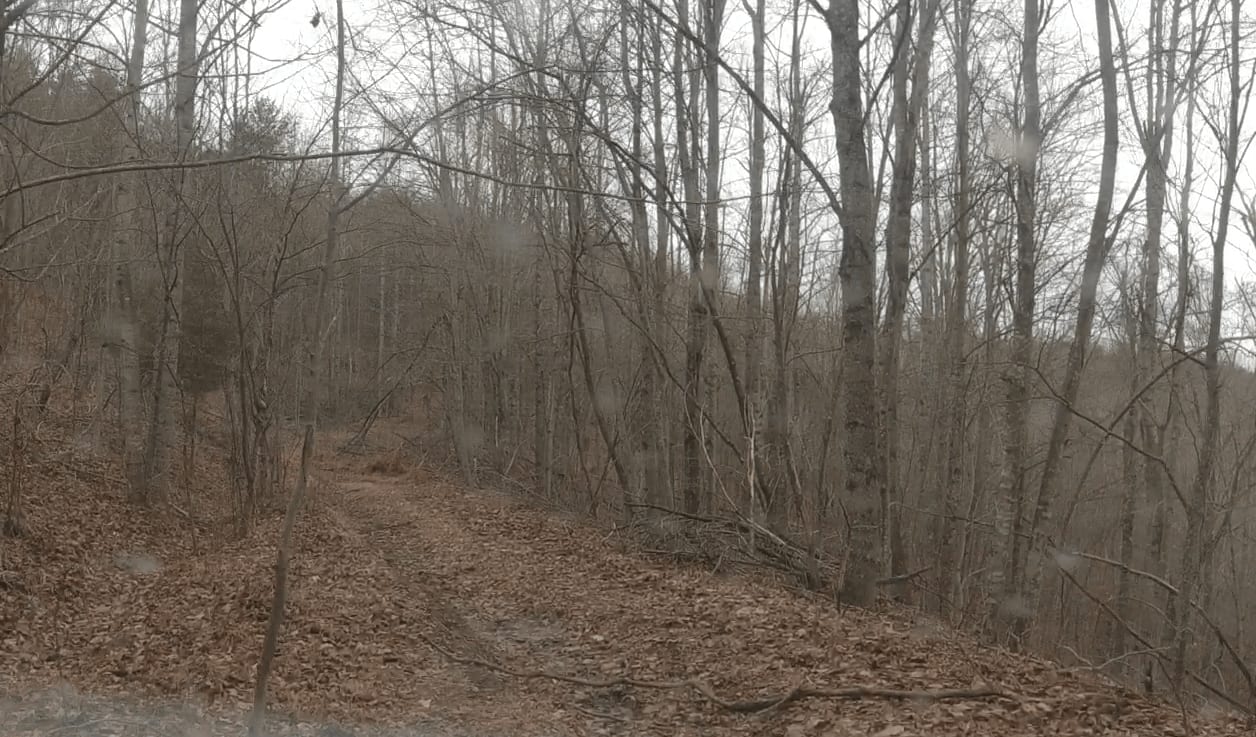 Big Branch Hill