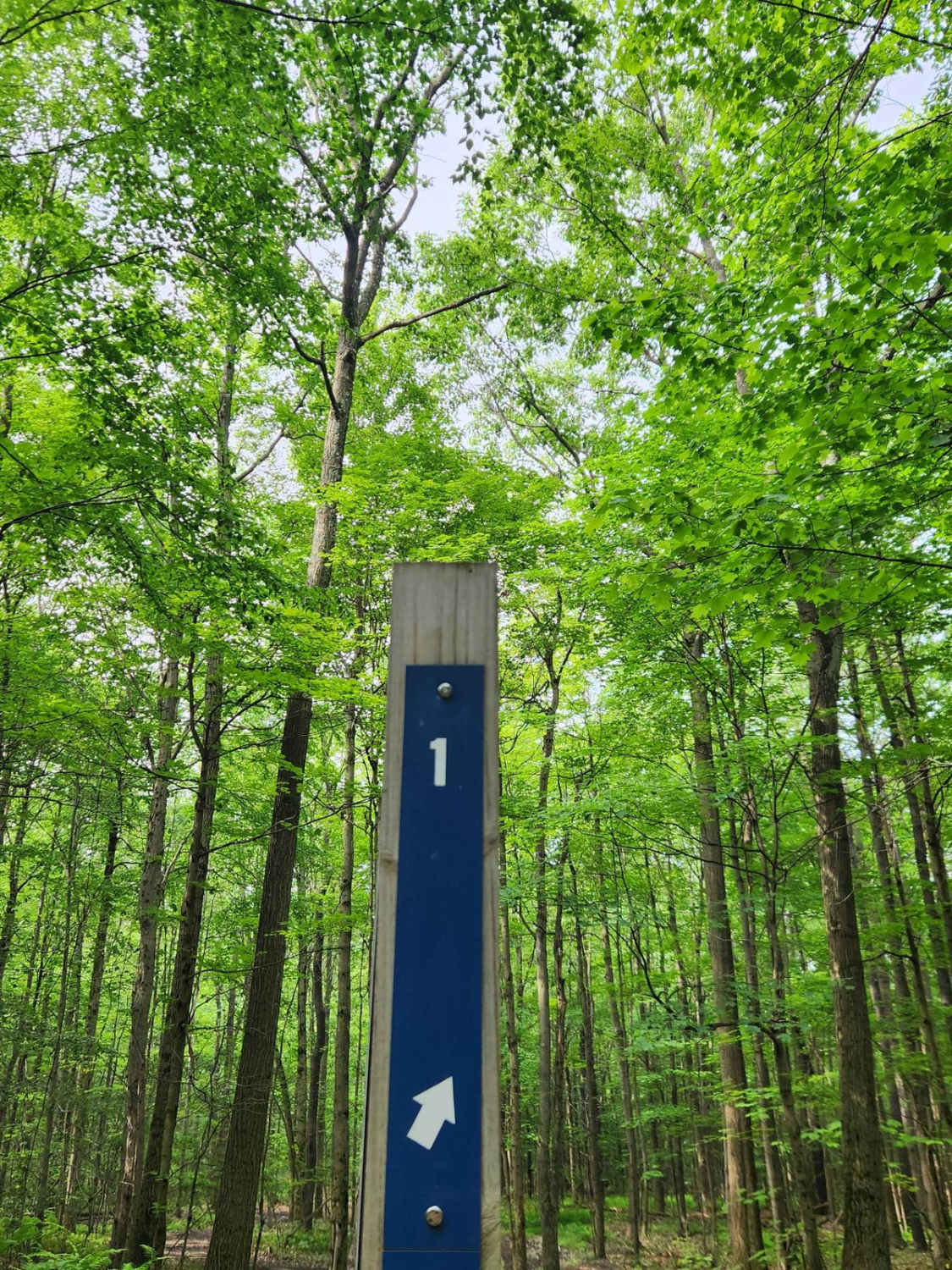 Trail 1 - Rock Run Recreation Area