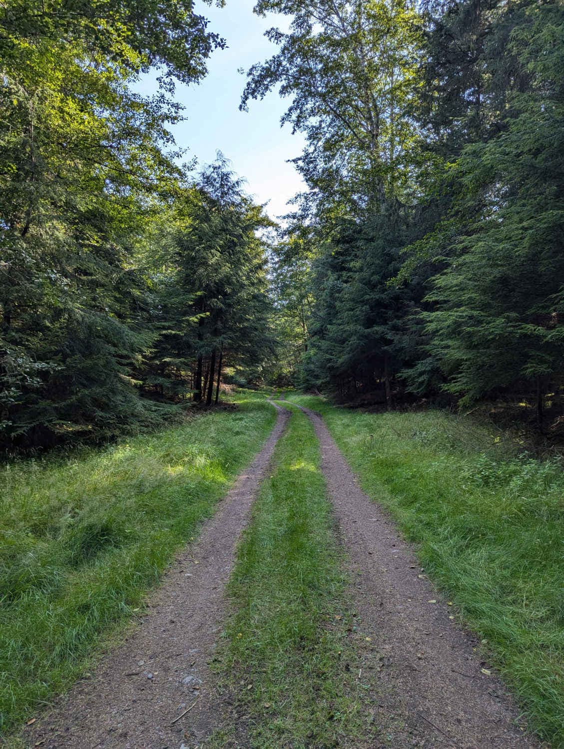 Abandonded Campground