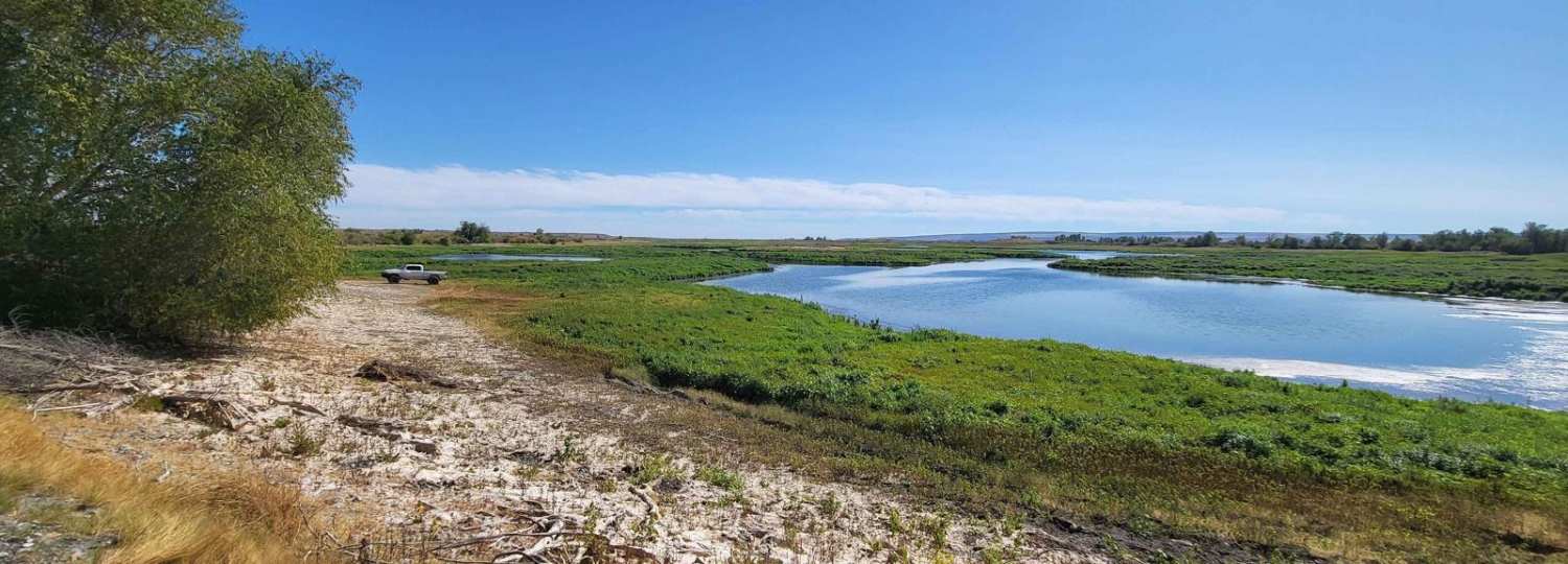 Bird Reserve