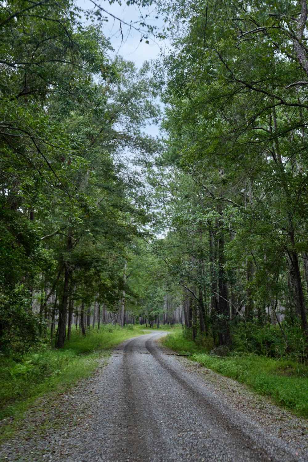 Bonneau Ferry WMA - Plantation Entrance