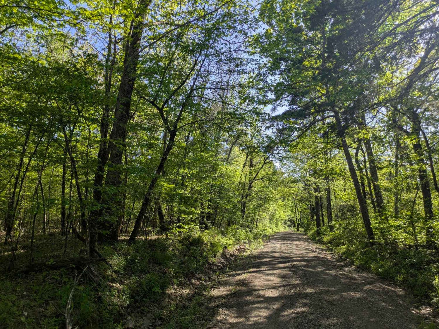 Ritz Road