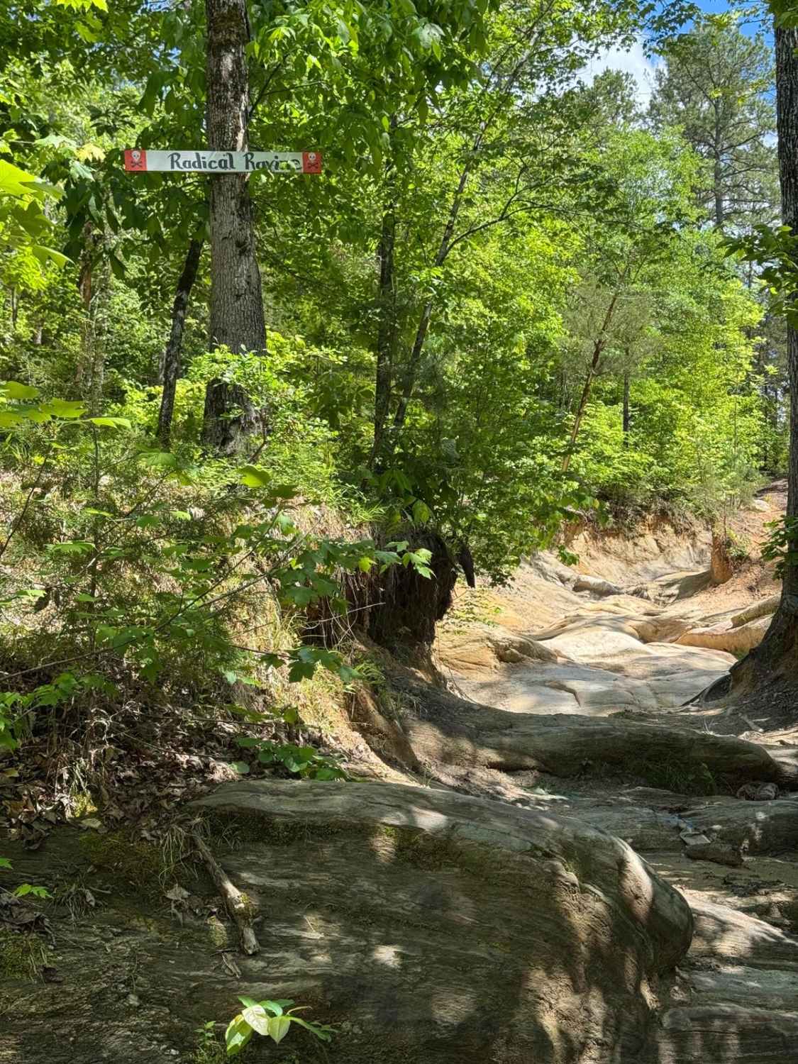 Radical Ravine