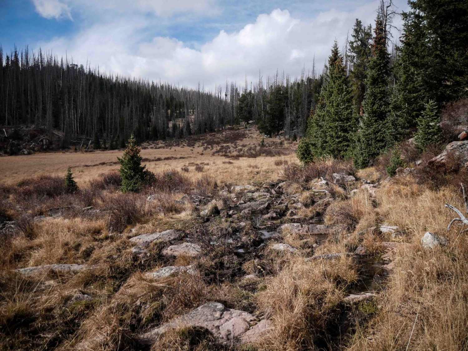 Groundhog Single Track
