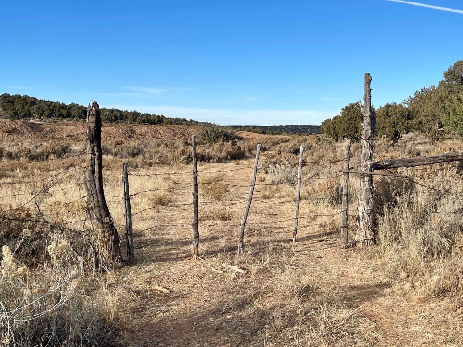 Shoebuckle Road 1059
