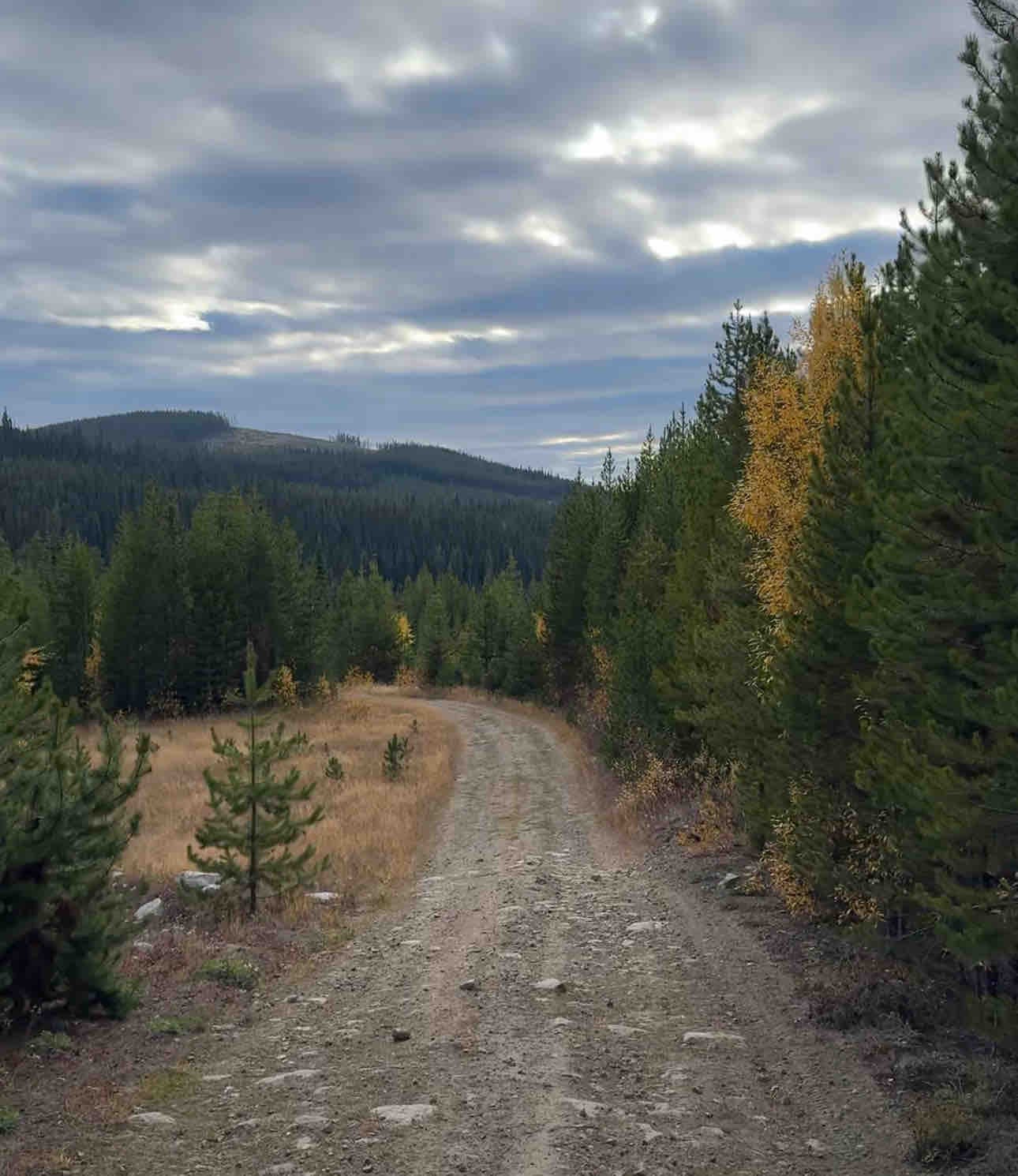 Chute-Meadow Connector 