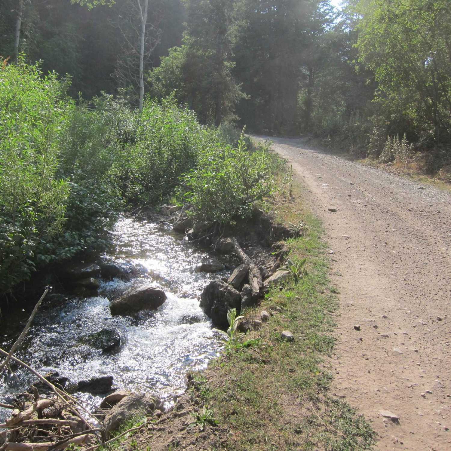 Fish Haven Canyon