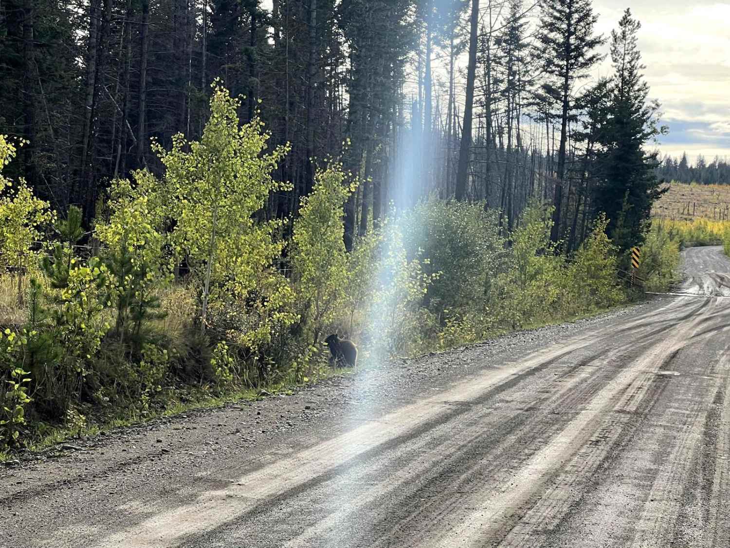 Lake Helena Road