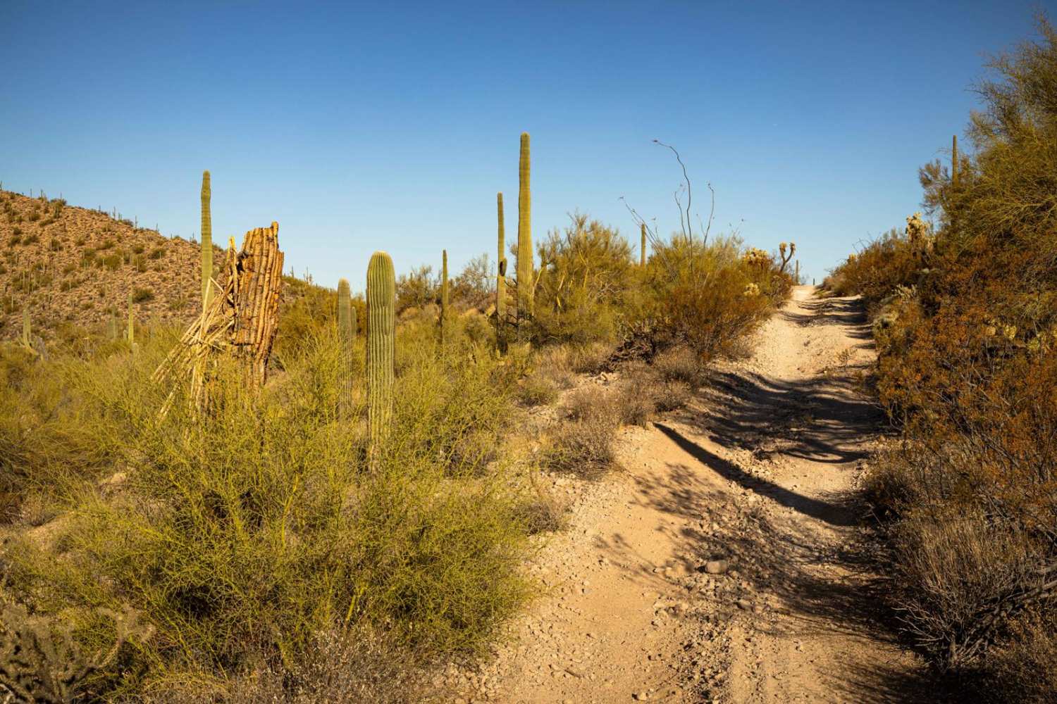 Junction to Middle Mountain