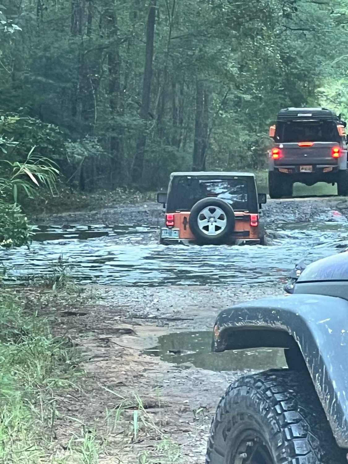 Swamp Tour