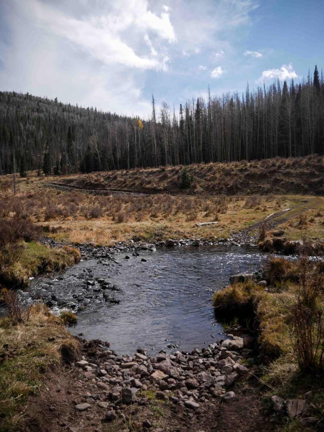 La Garita Creek Cutoff ATV 