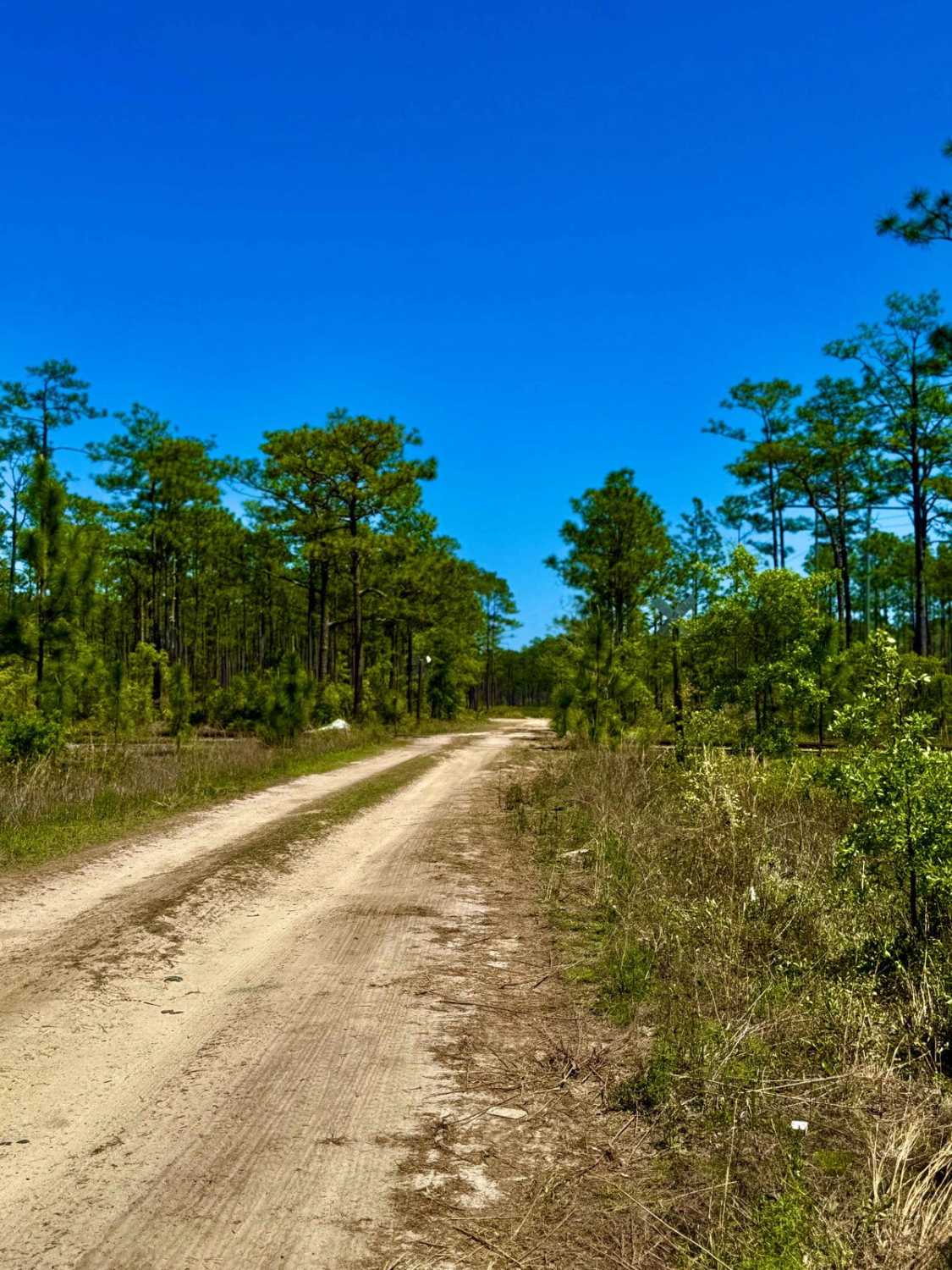 Franklin Trail - FS 165