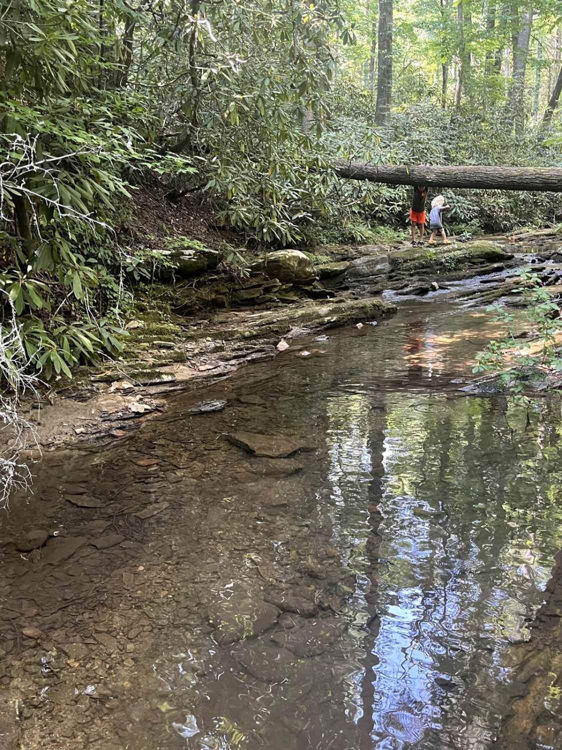 Clear Creek (FSR 185)