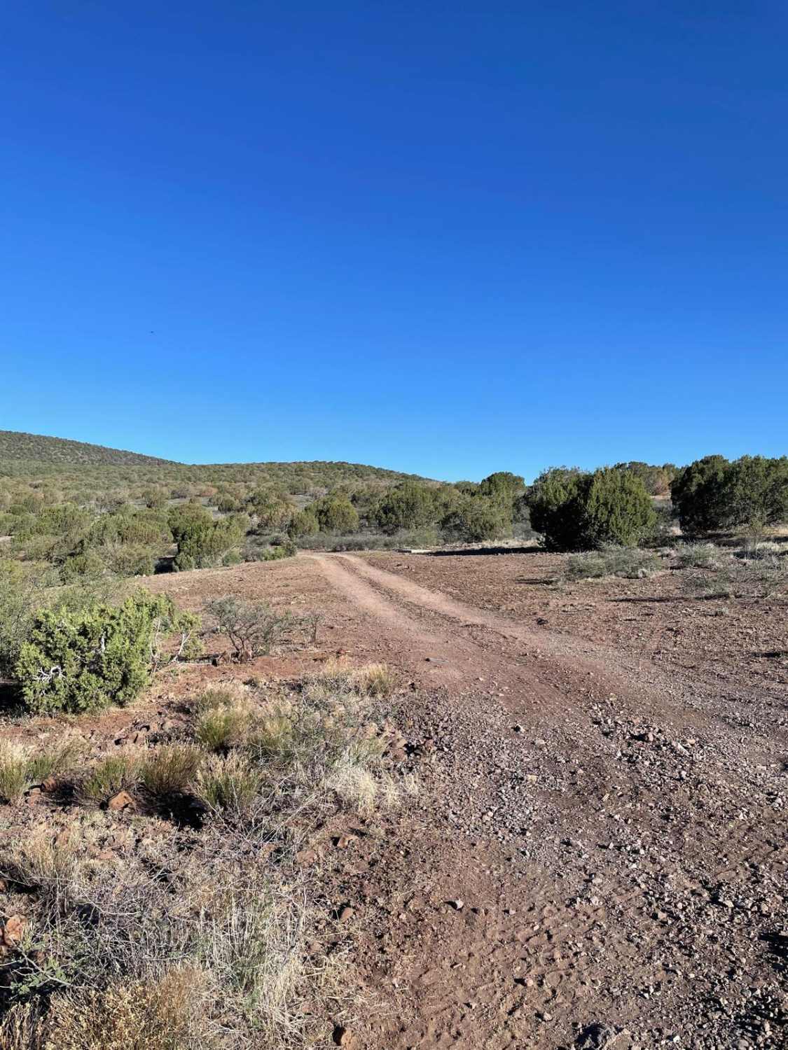 Cell Tower Side Road