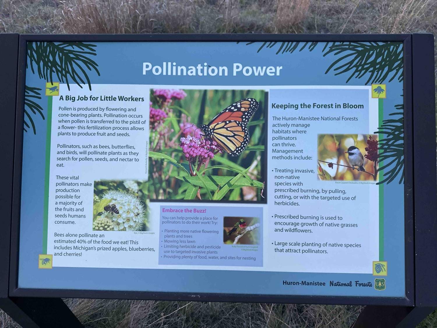 FS 4332 East Bull Gap Trailhead