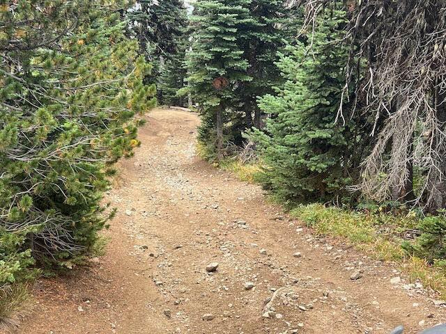 Manastash Trail West