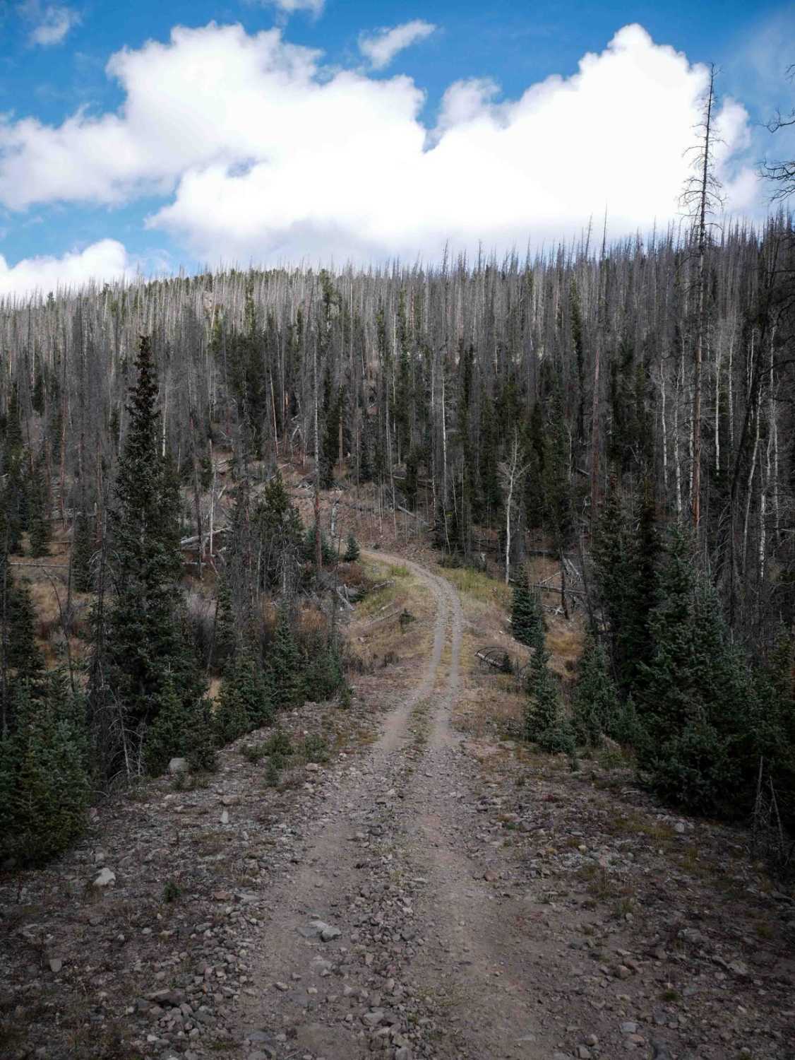 Perry Creek ATV 