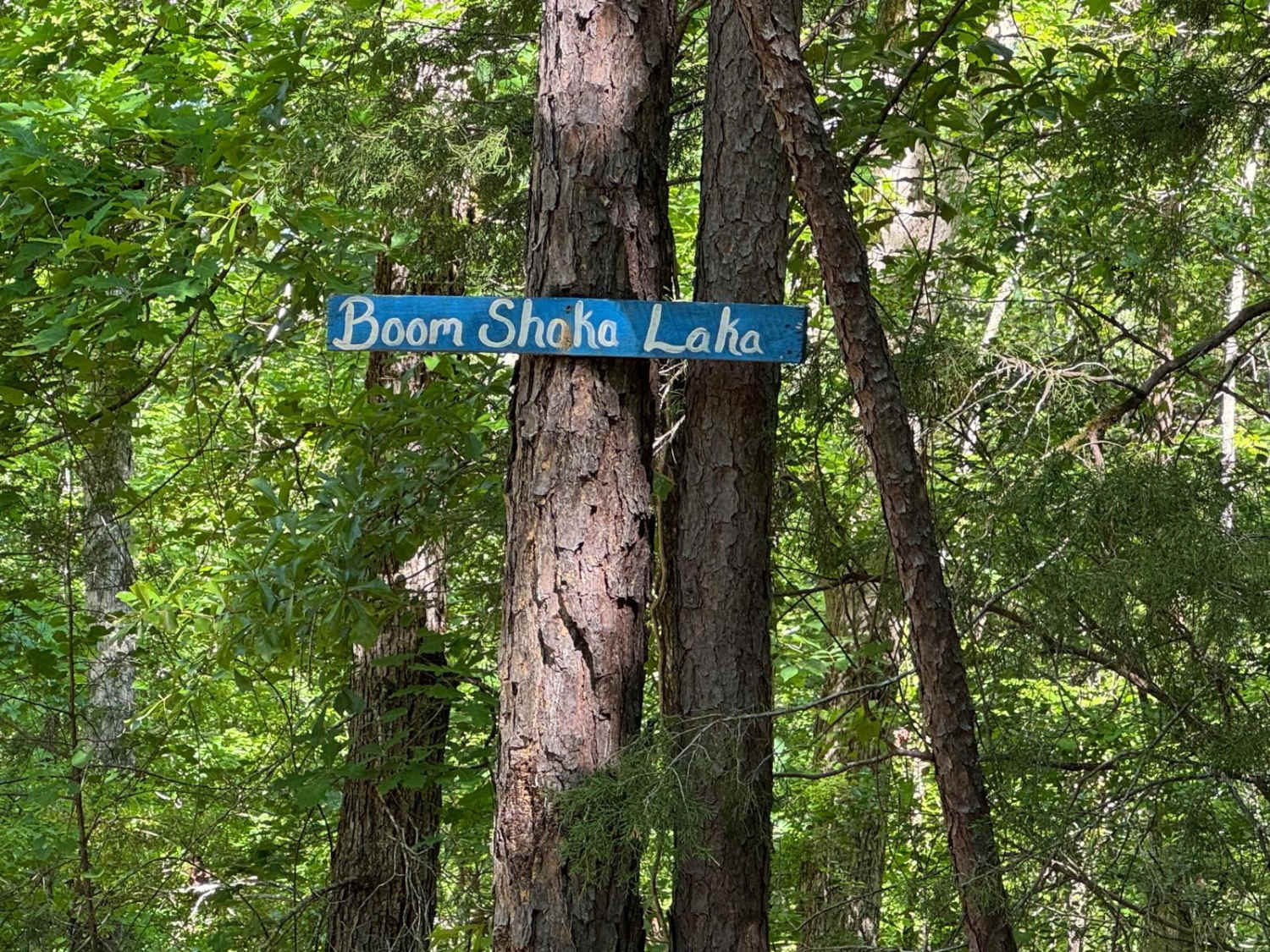 Boom Shaka Locka South Carolina - 9c37880e 15f8 4b59 B47d B4a703b83730
