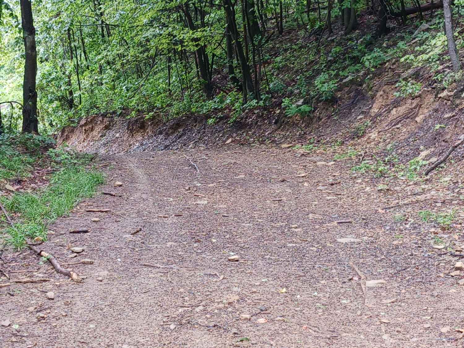 Trail 3F - Rock Run Recreation Area