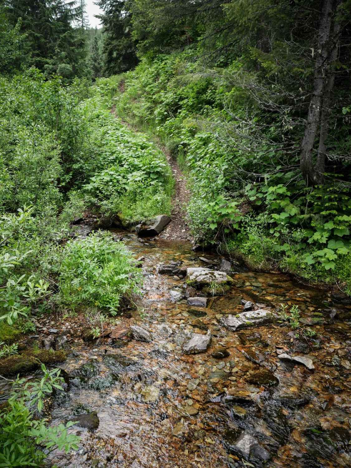 Flume Creek 