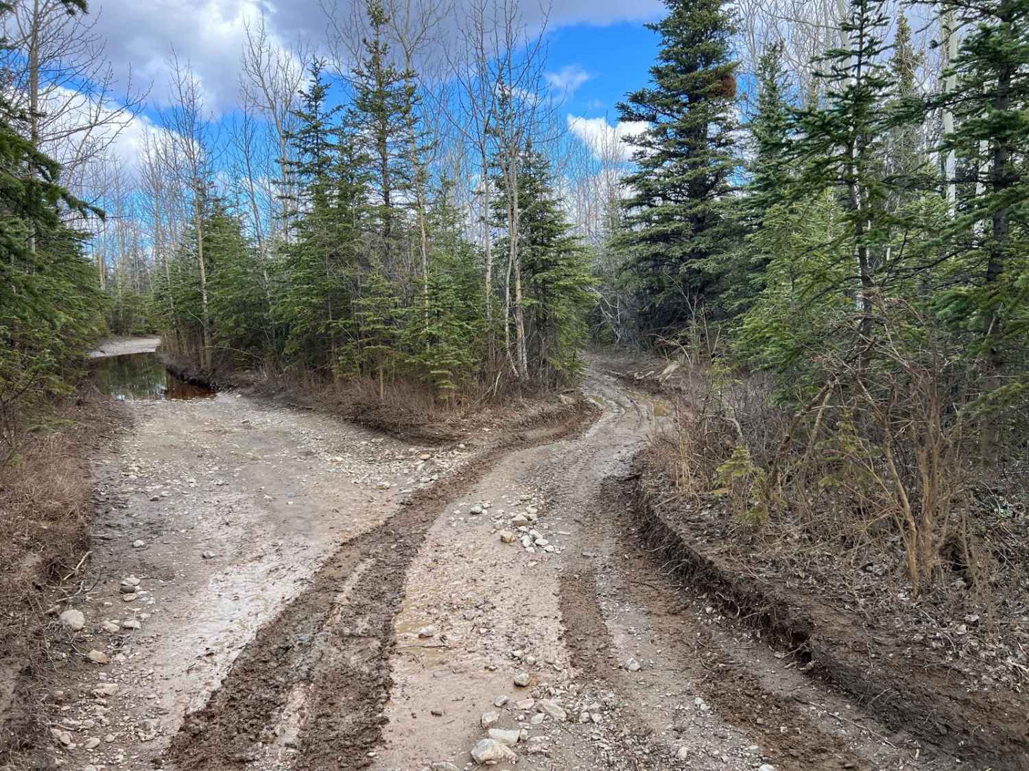 Black Diamond Peak 1/2 Connector