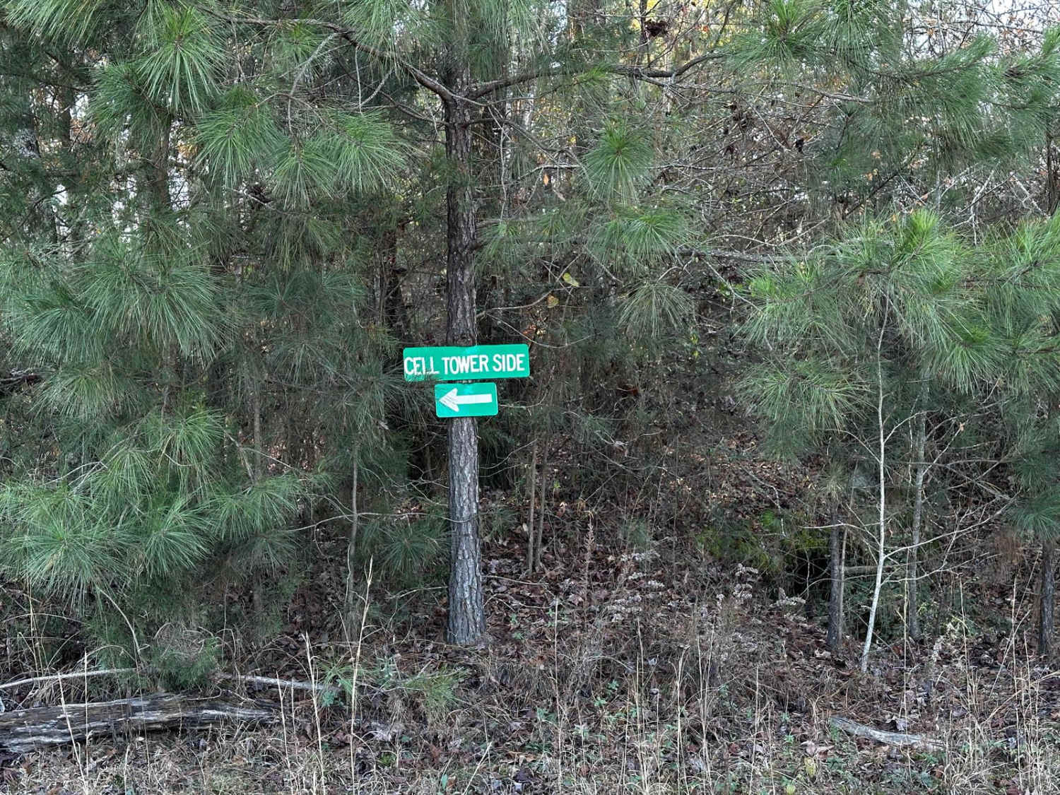Pavilion/Cell Tower Trail