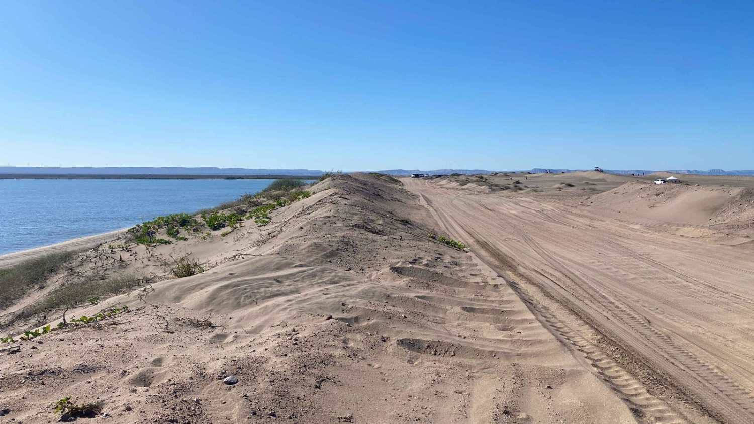 Dunas Del Mogote