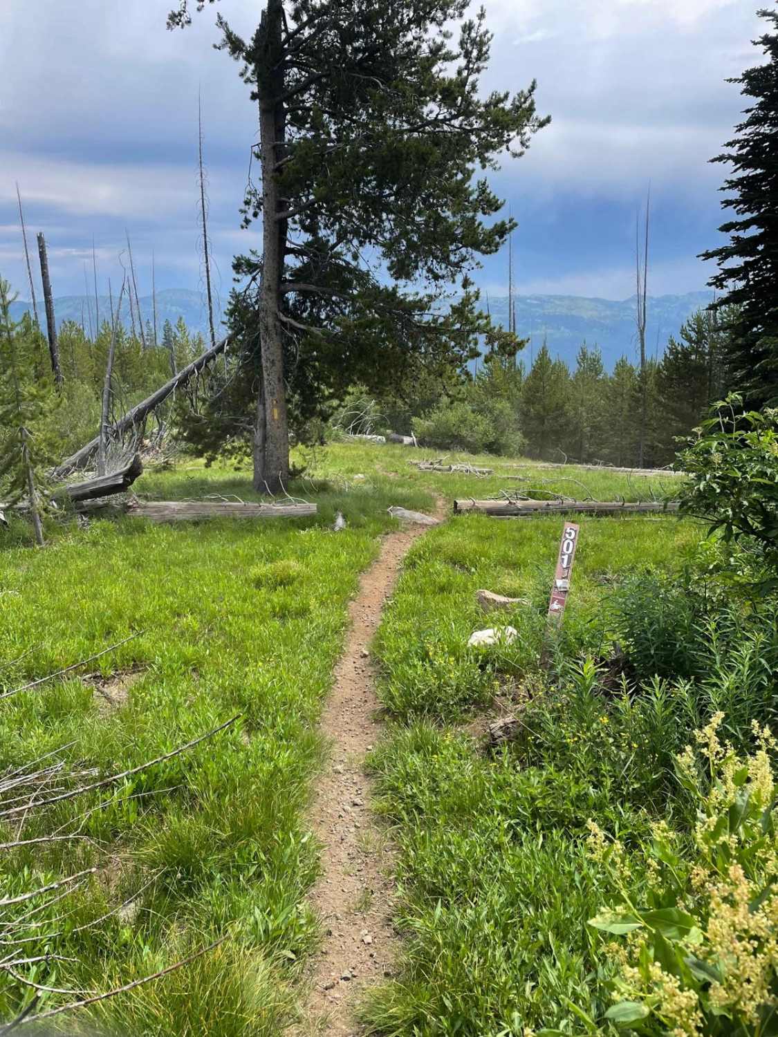 Scribner Ridge