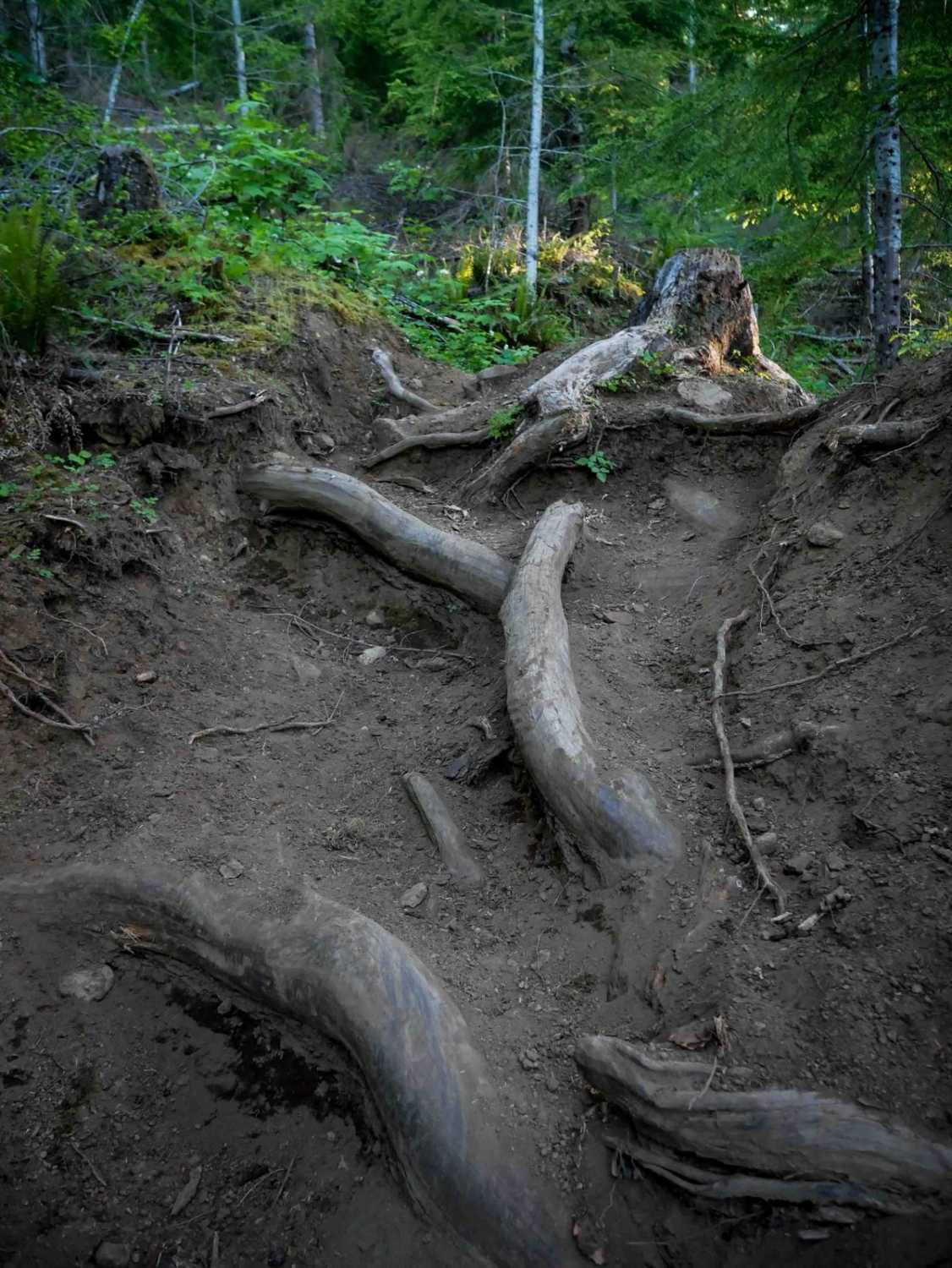 Beaverslide #52 (Extreme)