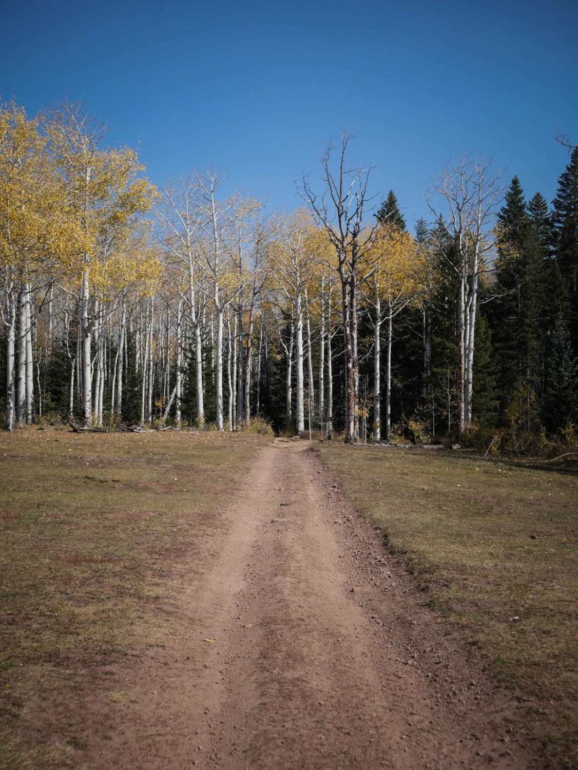 Dented Door ATV Trail 