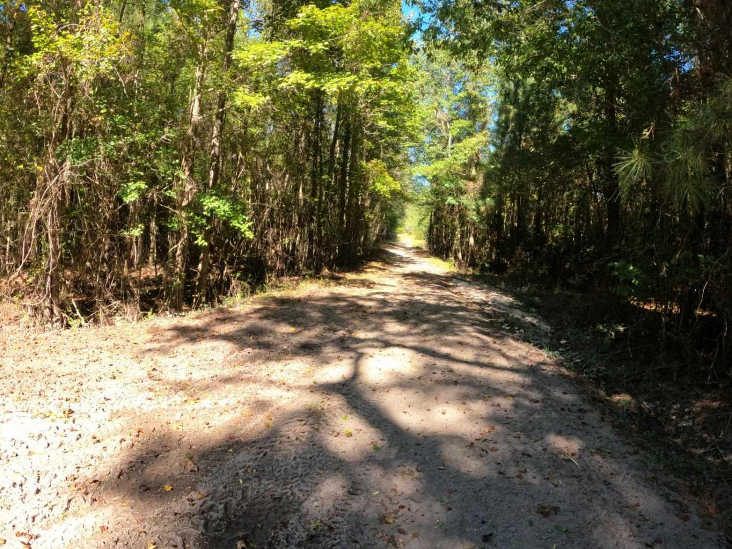 Radke Road
