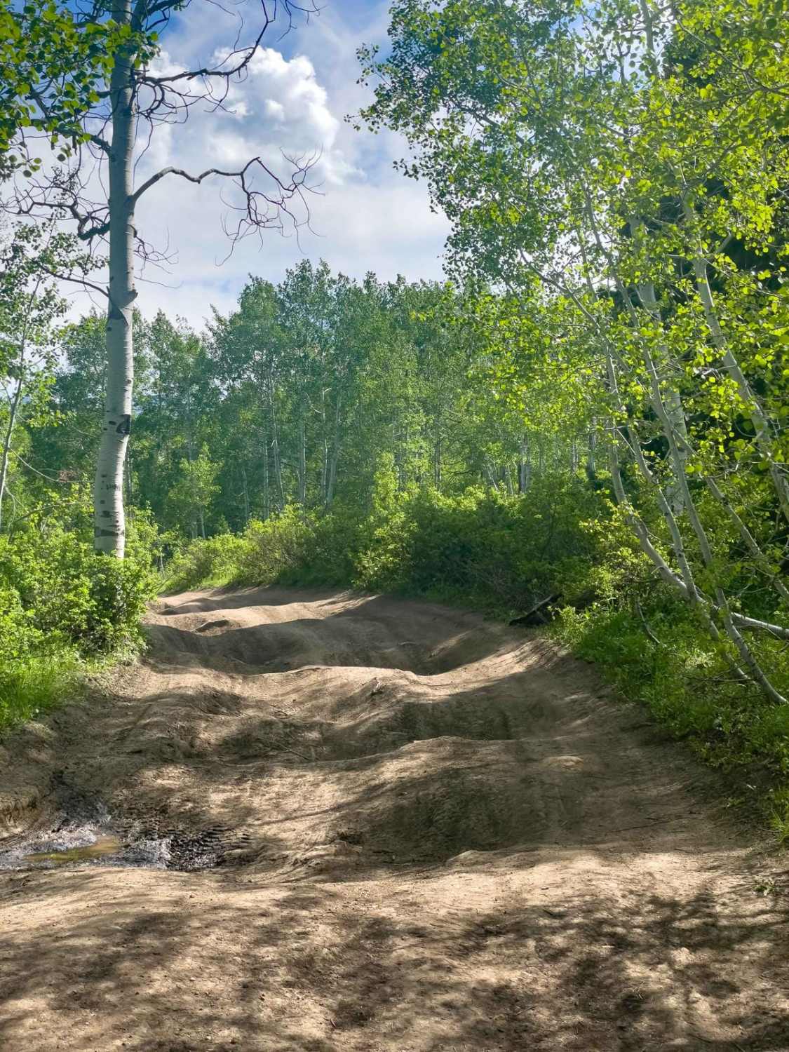 Samps Hollow Overlook (FR 721)