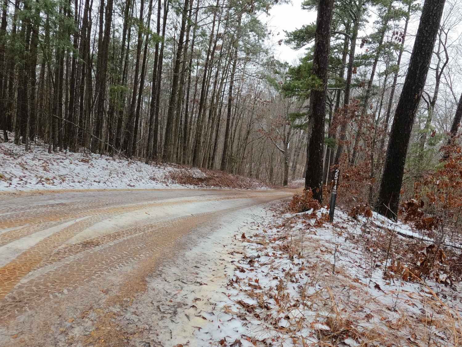 Timber Lane - FS 2514
