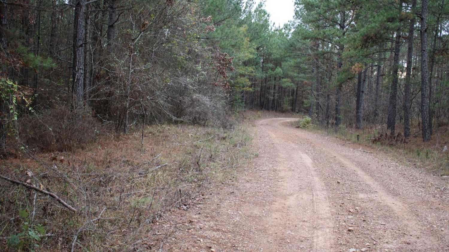 County Roads to Sour Springs