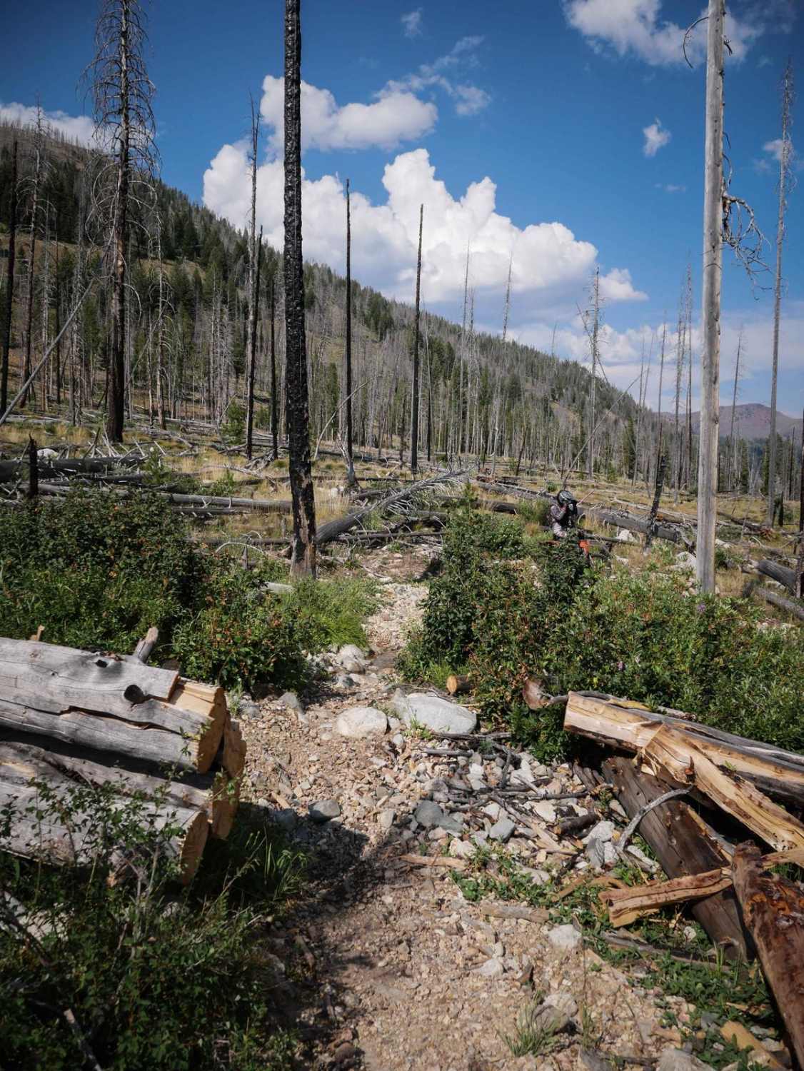 Westfork Yankee Fork 