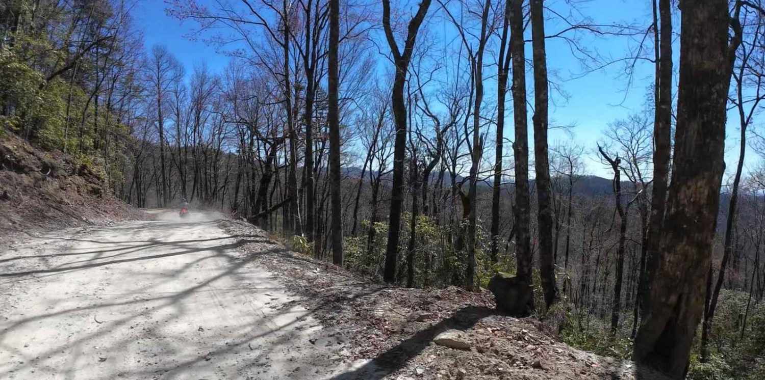 Canebrake Road