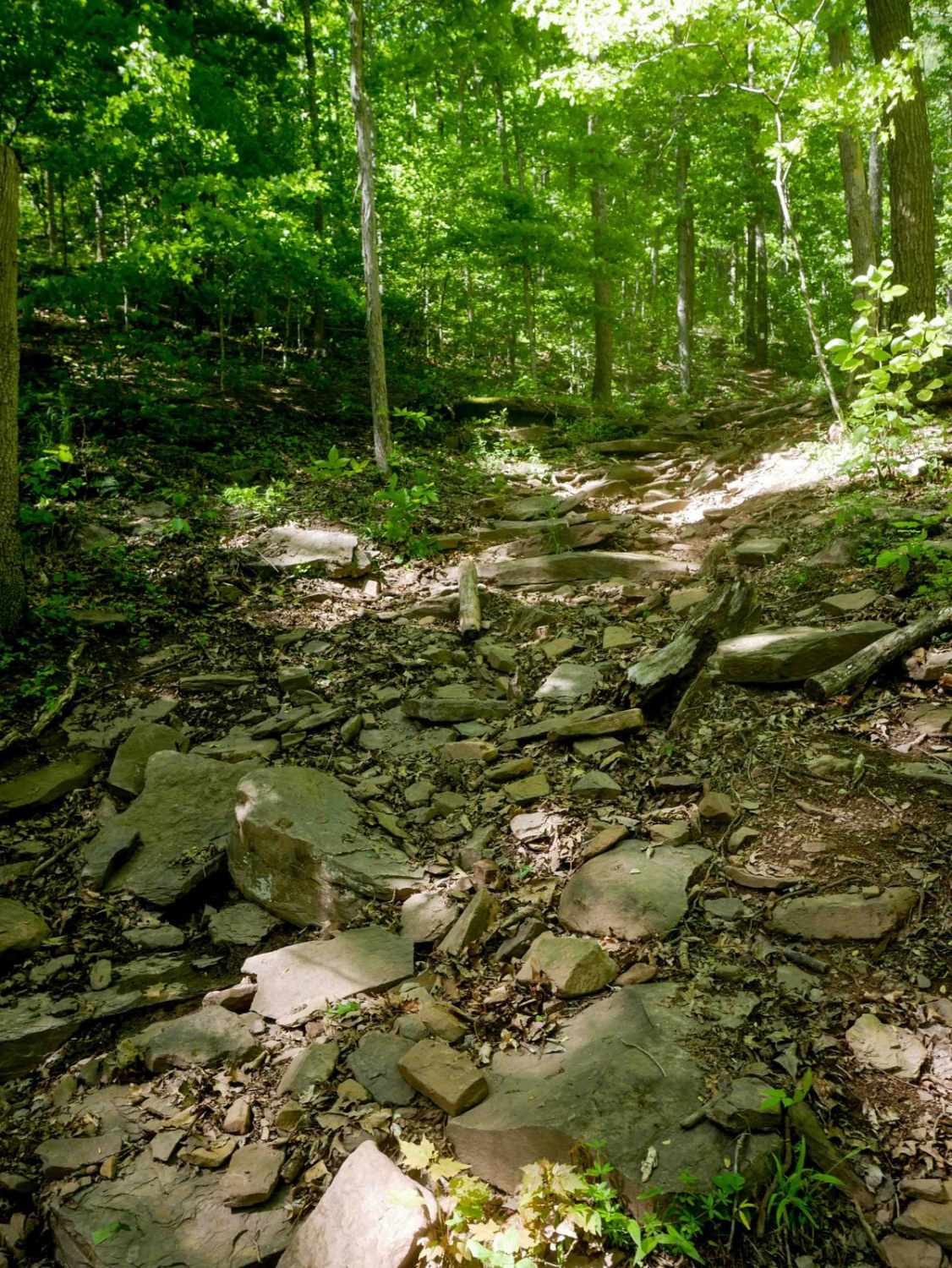 Trail 25