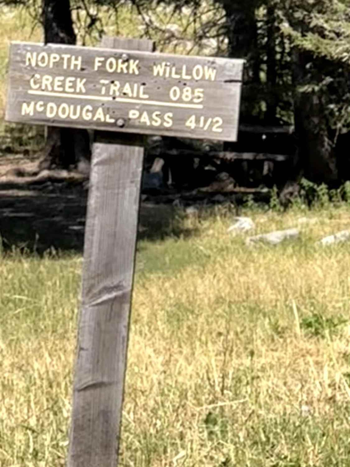 Willow Creek