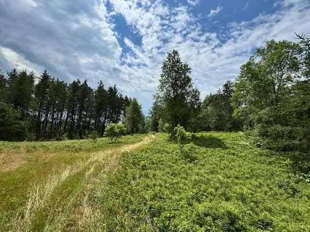 Oak Lake Loop