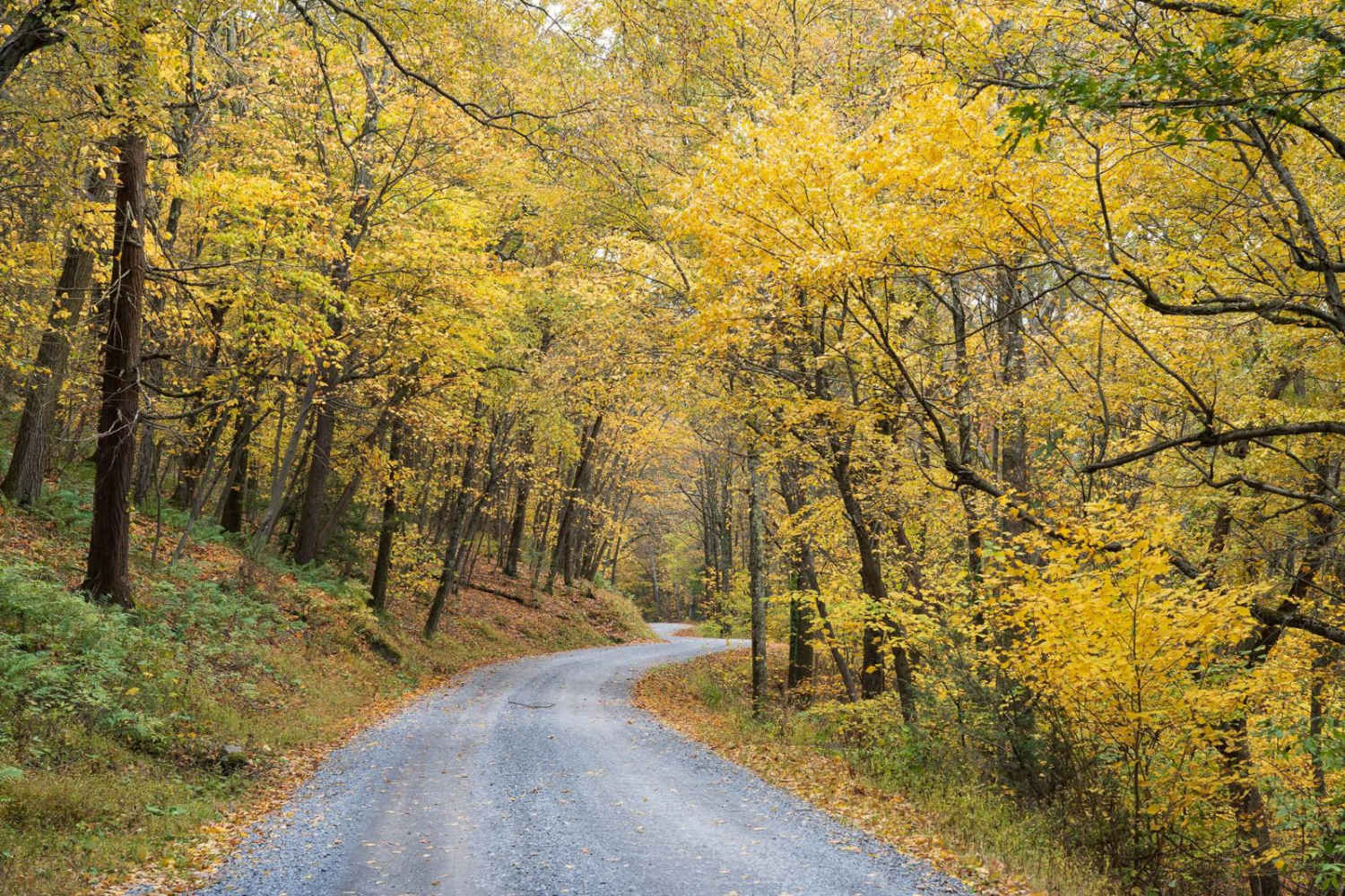 Siglerville Millheim Pike