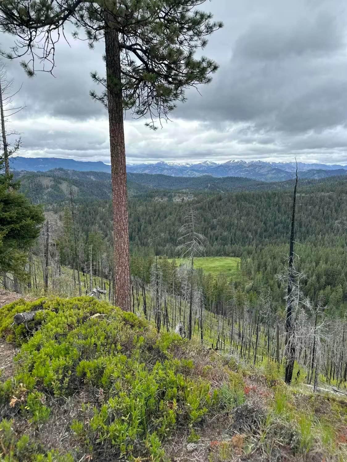 Upper Boulder 