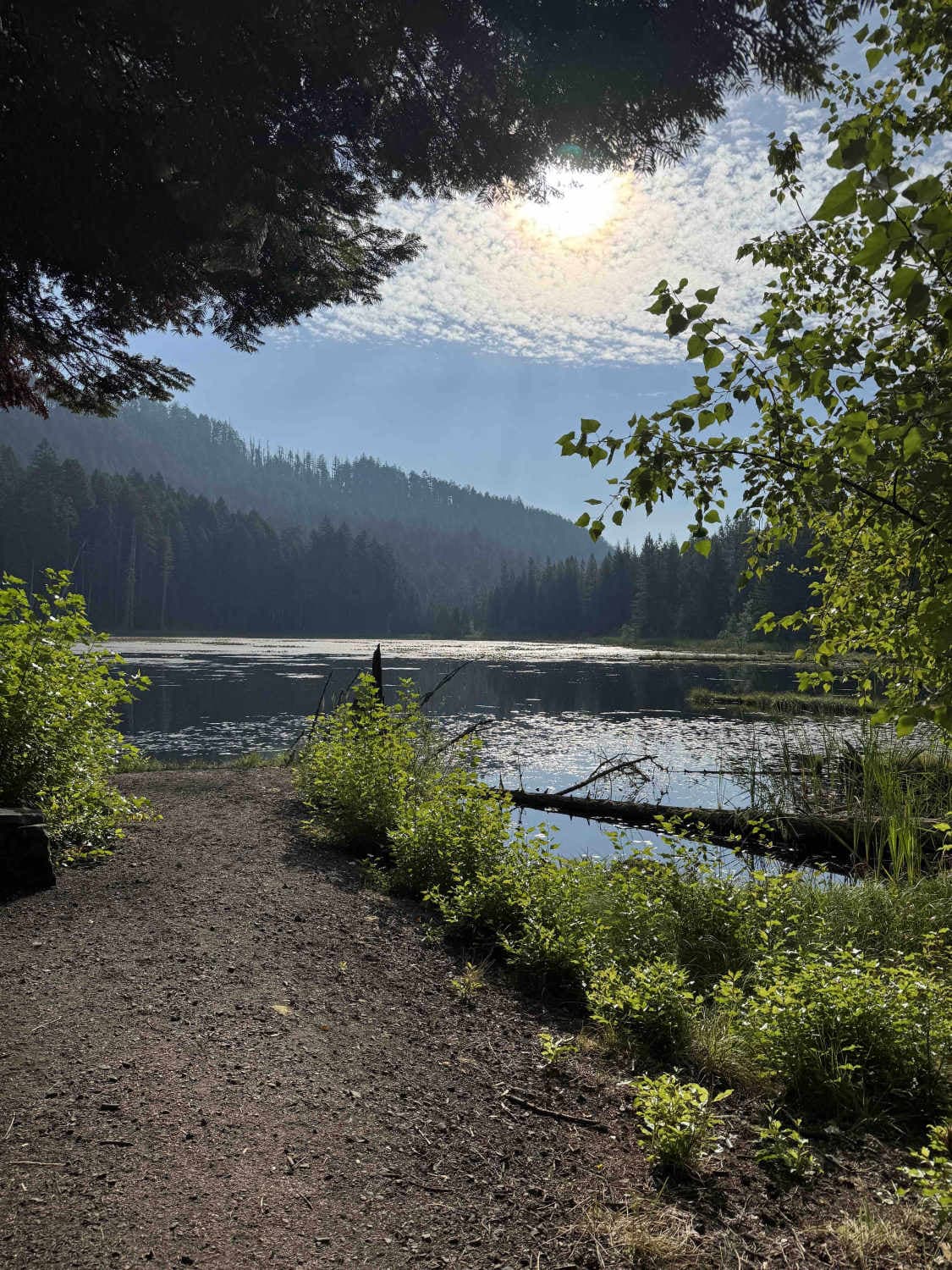 Skookum Pond