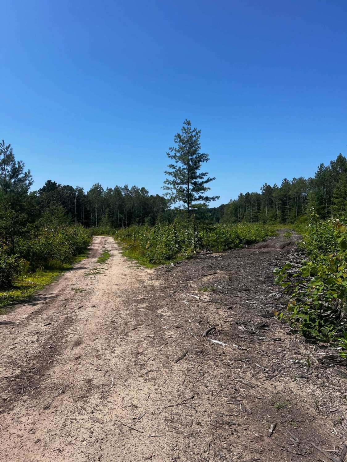 Riverbend Lookout Trail