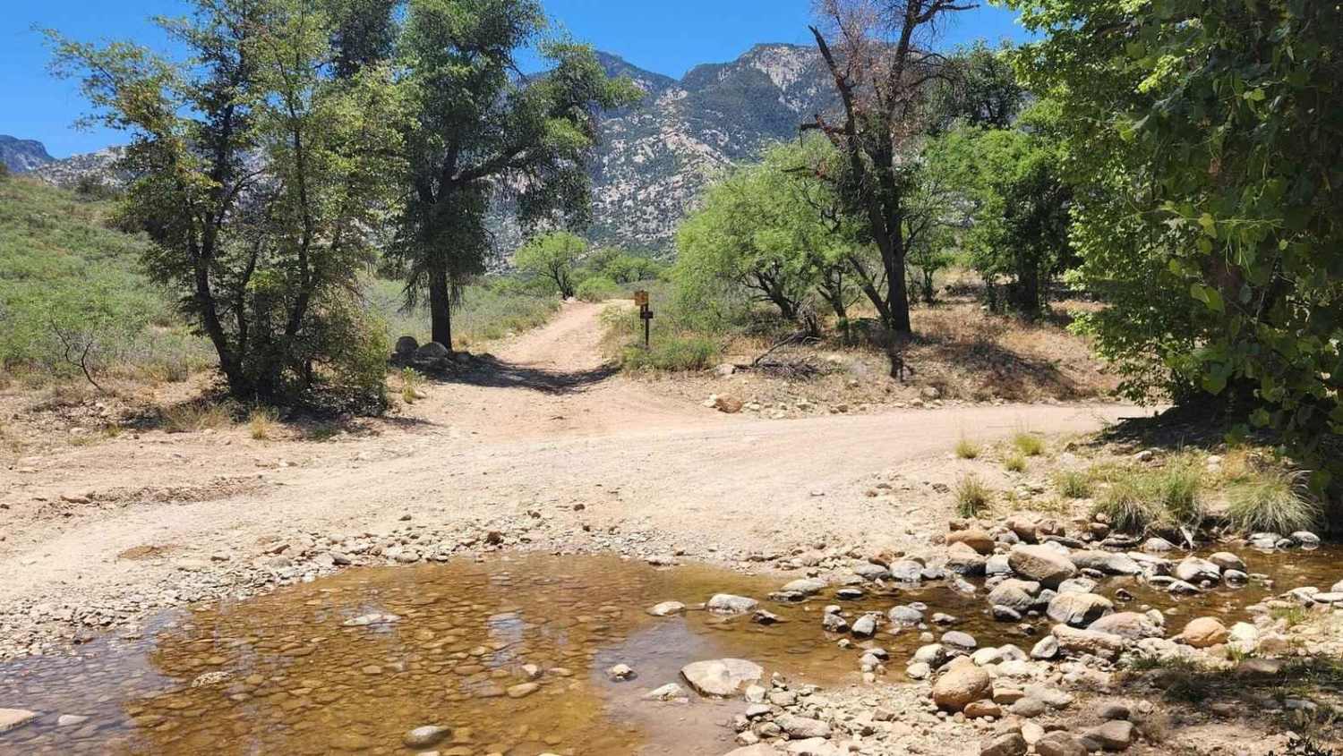 Old Happy Valley Road FR 4406