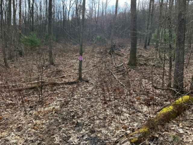 Tower City Single Track 21