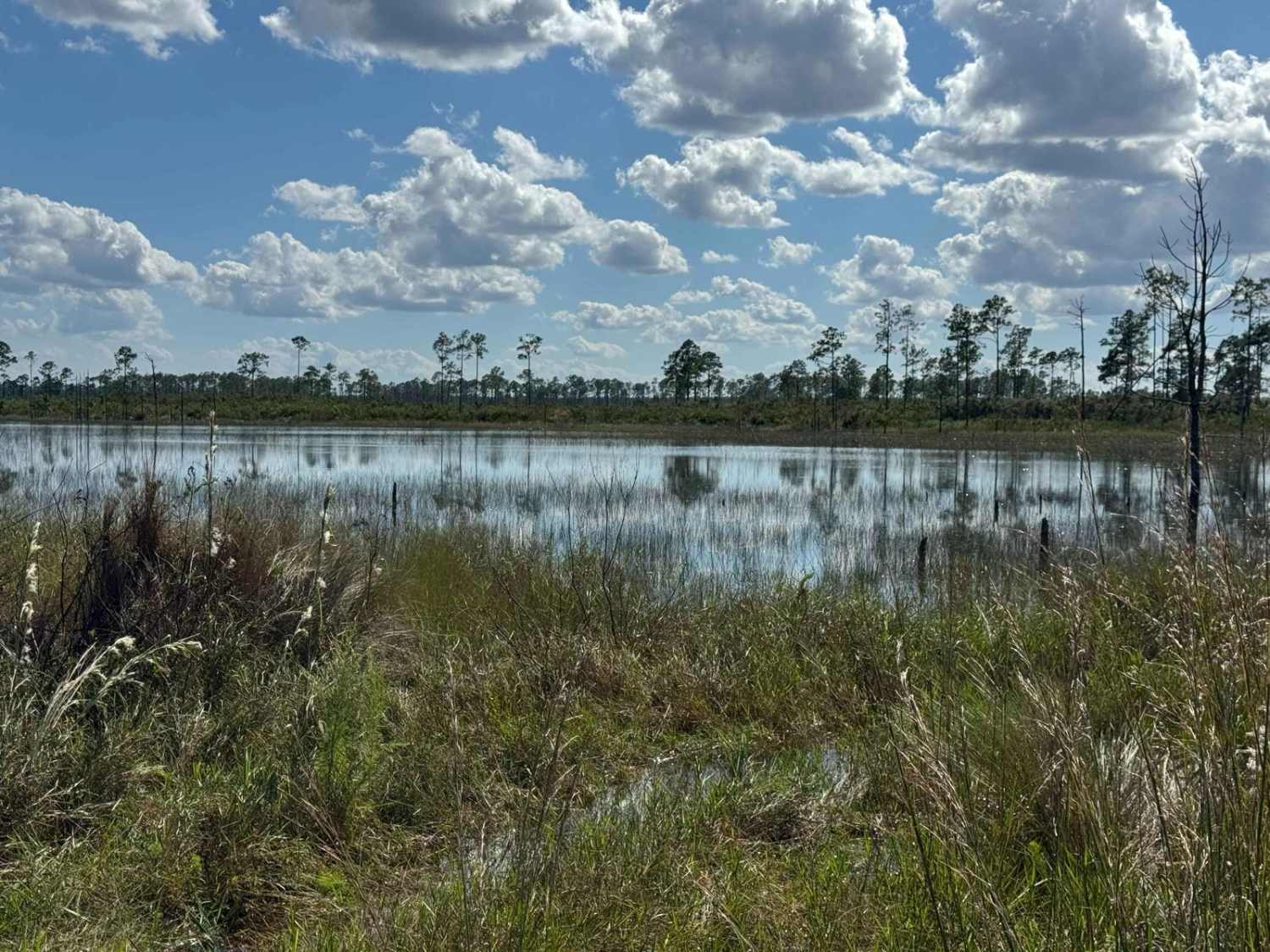 John T. Childers Road - ONF 53