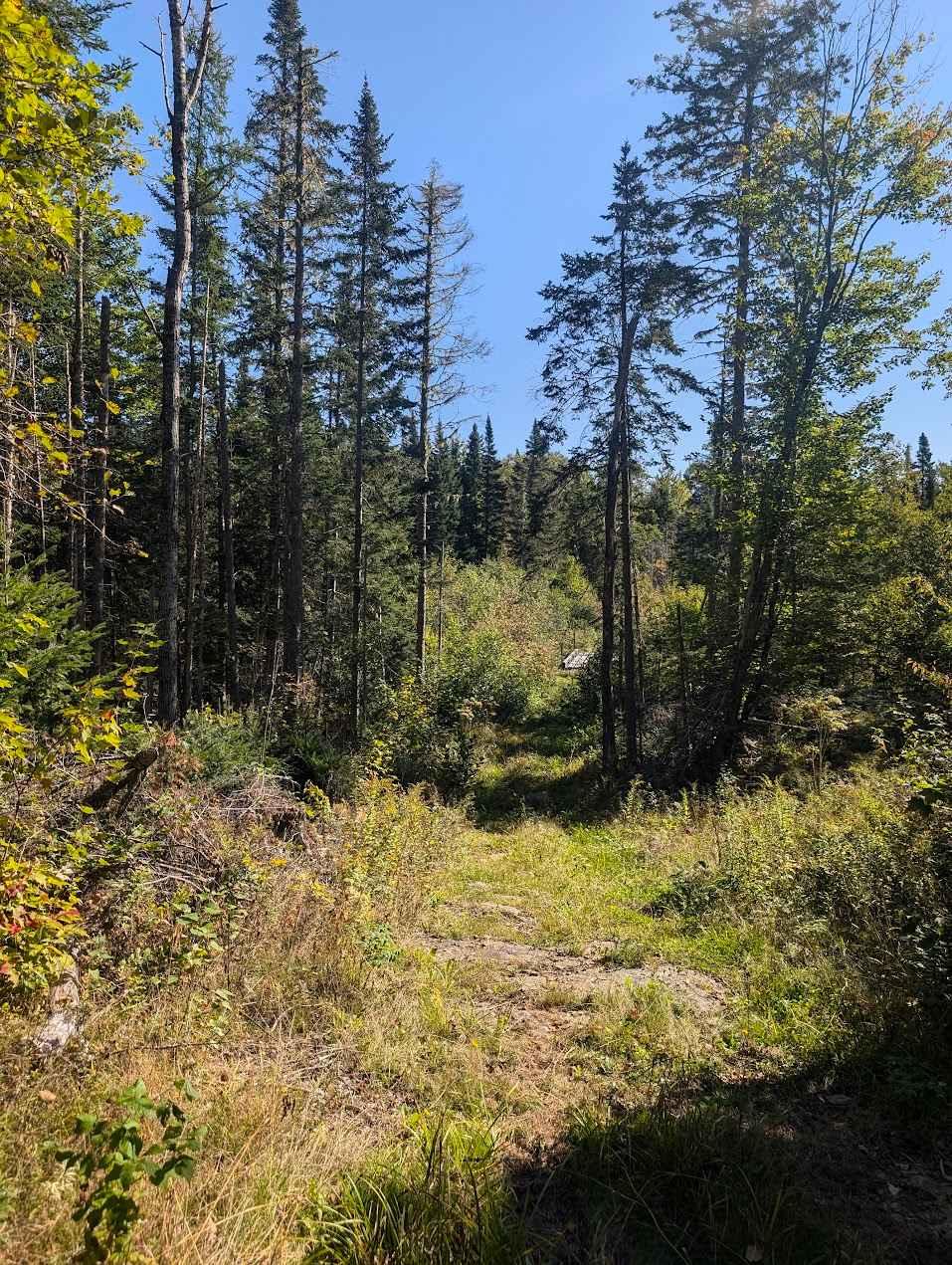 Royal Road Winter Trail