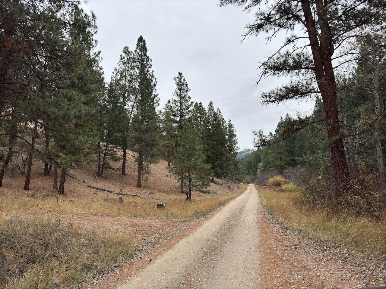 Robins Gulch