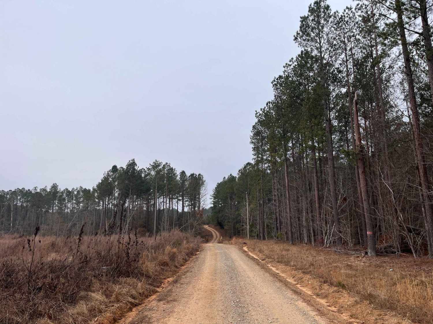 Rugged Hill Drive