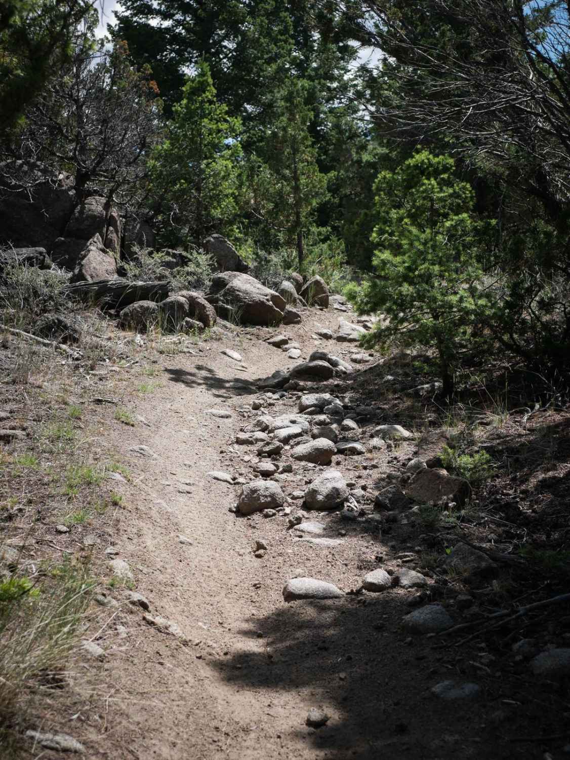 U Trail 